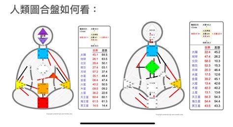 人類圖合盤查詢|人類圖生產器